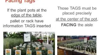 Basics of Plant Merchandising s2