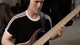 Bartolini M55CBC Pickups in MTD 535