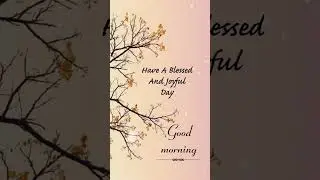 Good Morning Blessings ❤