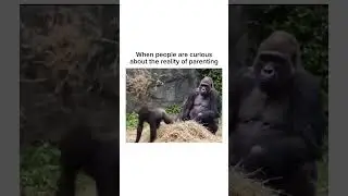 when people are curious about the reality of parenting