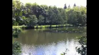 Lumbye-Schytte: (Af) Drømmebilleder (piano)
