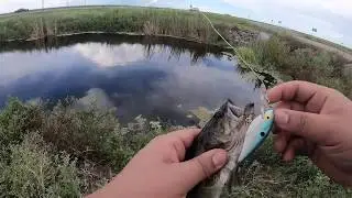 highway bass fishing
