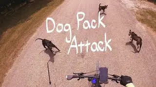 Dog Pack Attack Mentality with Amputee Cyclist Aaron Smith of Gainesville, TX