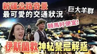 【新疆自駕ep9】超爆笑騎馬體驗!!差點問倒帥氣健談的哈薩克族小哥...果子溝大橋好美啊~