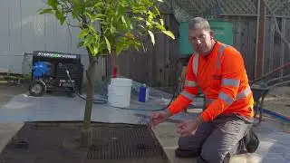 Rockpave Tree Pits: How to Install Permeable Tree Surrounds for Urban Landscapes - Part 12 of 12