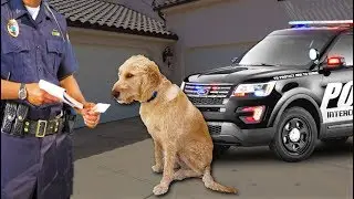 Had To Call The POLICE!