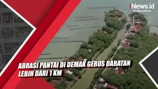 Abrasi Pantai di Demak Gerus Daratan Lebih dari 1 Km