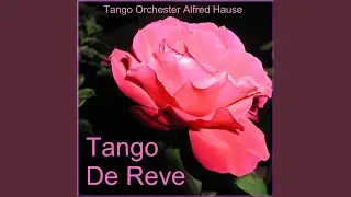 Tango Du Reve