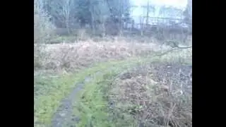 Walking Off The White Cart Way to the White Cart River in Paisley, Scotland