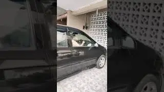 #VloggerIndo.Belajar kereta