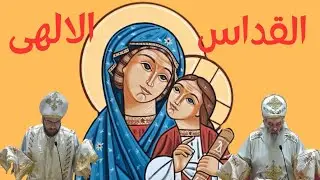 القداس الإلهى مباشر٣٠-١١-٢٠٢٥ من كنيسة السيدة العذراء و الانبا بيشوى الانتاون