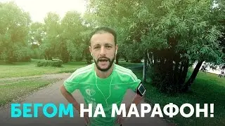 Бегом на марафон! Кейс участника SmartProgress