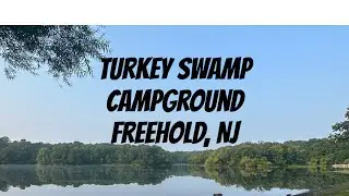 Review of Turkey Swamp Campground and campground fees for first 8 weeks of fulltime RV life.