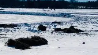 Rocket Snowmobile Crash.  World Record!