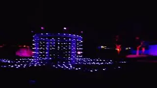 LA Lightscape Arboretum 🎄