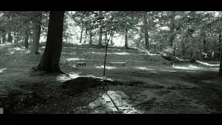 Martin L . Gore - Compulsion