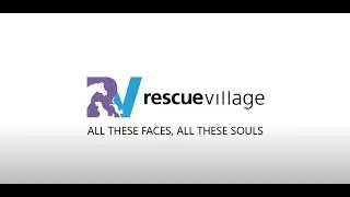 2024 Rescue Village Rescue Video: All These Faces All These Souls
