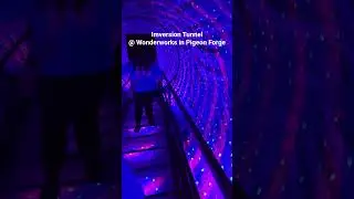 Wonderworks Part 1 #wonderworks #pigeonforge #smokymountains #familyvacation #trippy