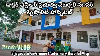 Government Veterinary Hospital Vijayawada | Dr Ntr Veterinary Super Speciality Hospital Vlog |