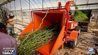 Chipping up tons of tomato vines for compost inside a greenhouse with a TOMCAT M4200AFE woodchipper