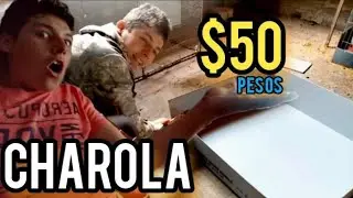 &iquest;Como acer charolas de pl&aacute;stico econ&oacute;micas para  gallos?