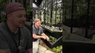 Don&rsquo;t have room for a green house? Try a cold frame! Get a head start this season.