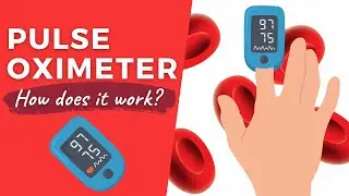 How Pulse Oximeters Work | The Basic Principle | Explained Simply
