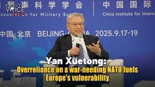 Yan Xuetong: Overreliance on a war-needing NATO fuels Europe's vulnerability