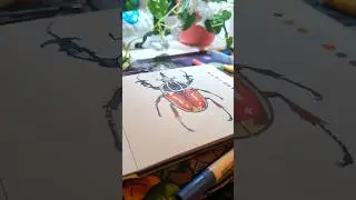 Drawing an iconic bug from Animal Crossing! #acrylicmarkers #animalcrossing