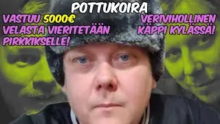POTTUKOIRA: Korkki auki! 5000&euro; velan kootut selitykset #pottukoira #k&auml;ppi #kicksuomi