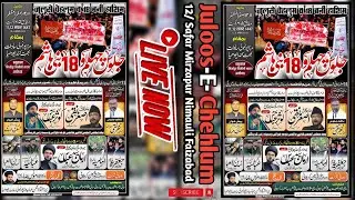 🔴LIVE Juloos -E- Chehlum 18 Bani Hasim Taboot Mirzapur Nimauli Faizabad | Watan Azadari Tv