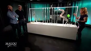 100 biljoner bakterier slåss om vår hälsa - Malou Efter tio (TV4)