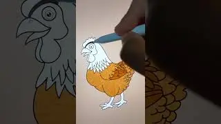 chicken #chicken #drawing #coloring #cute #painting