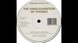 The Amalgamation Of Soundz  -  The Checkout
