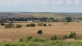 Rehabilitation Time Lapse Video - New Acland Mine