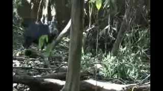 Clip - Bom de Pesca