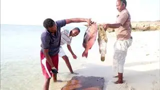 Isole Dahlak