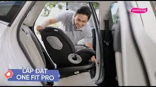 Hướng dẫn lắp đặt Ghế ngồi &Ocirc; t&ocirc; Animo One Fit Pro