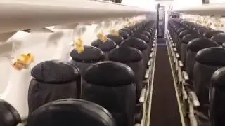Oxygen masks drop