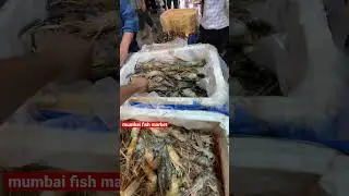 mumbai fish market | #fishmarket #mumbaifishmarket #shorts