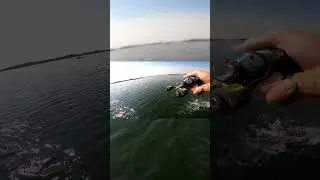 Fishing Warm Bays For Northern Pike!