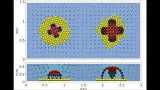 Collaboration and competition between active sheets for self-propelled particles
