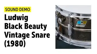 Ludwig | 6,5 x 14 | Black Beauty | Vintage Snare (1980) Sound Demo