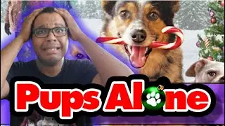 Pups Alone (2021) Movie Review | This Needs to Stop!
