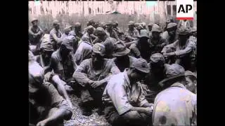 Japanese Dead