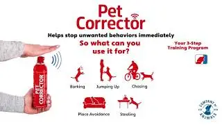 Pet Corrector | Treat Training and Positive Reinforcement Training for Dogs