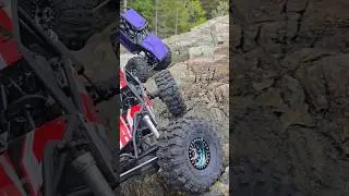 Axial Gilamon & Capra 🦎 🐐   #rc #offroad
