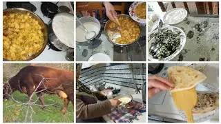Yöremiz Kültürümüz - Karadeniz'de Yaşam - Doğal Hayat - Günlük Vlog