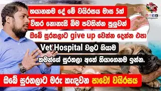 ඔබේ සුරතලාට 😱😨 මරු කැඳවන පාවෝ වයිරසය - Canine parvo virus - Dr Lasantha Ranasinhe