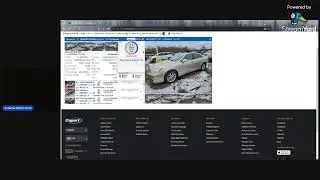 Auto Auction in CT.